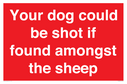 your-dog-could-be-shot-if-found-amongst-the-sheep~
